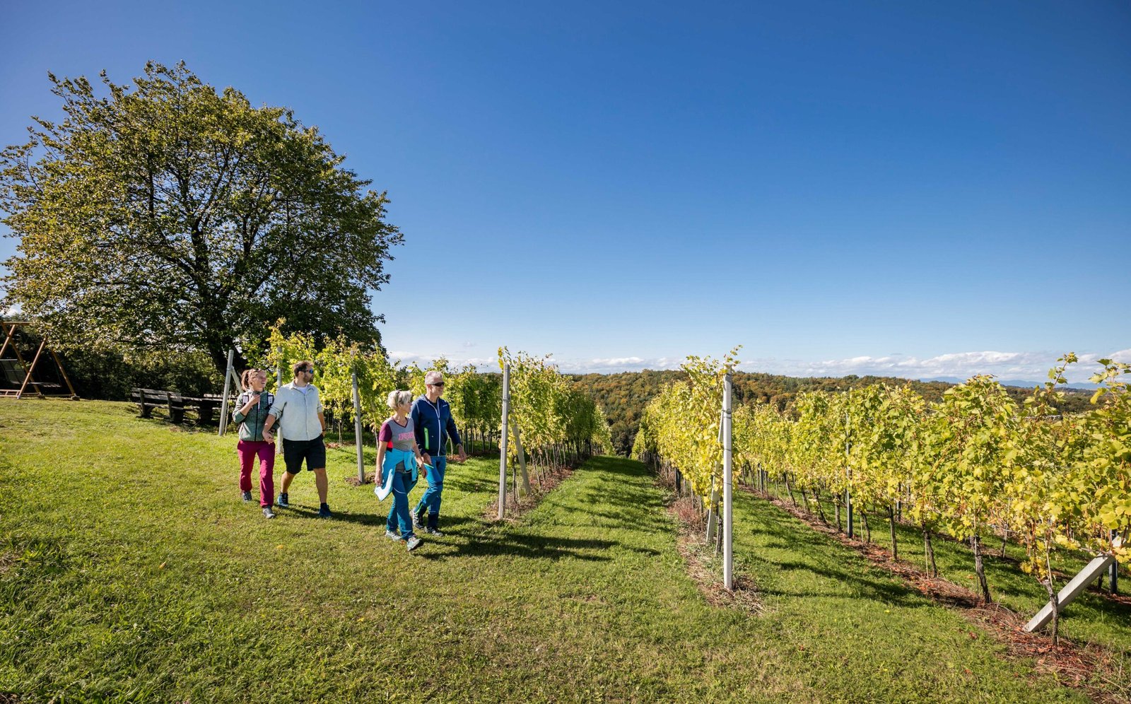 Weinwandern am Wein-Erlebnis-Weg in Bad Loipersdorf