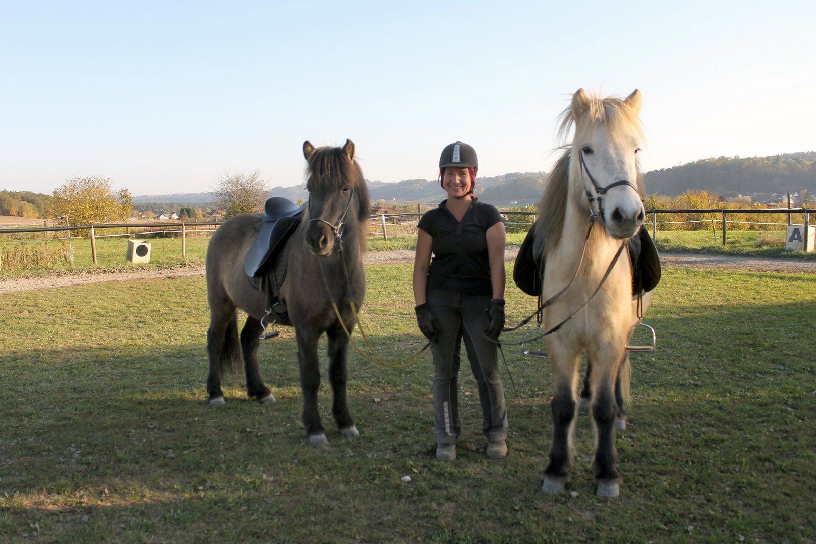 Islandpferdehof Desput Bad Loipersdorf – Reiten in der steirischen Thermenregion