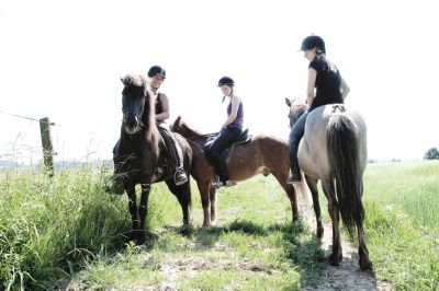 Reiten auf Islandpferden in Bad Loipersdorf – Tölt und Dressur